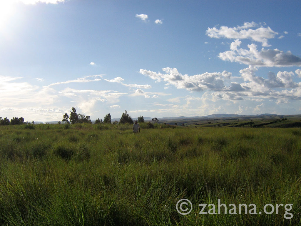 land donated to build the school in Fiarenana Madagascar