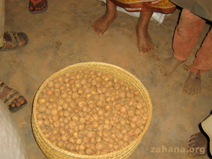 potatoes provided by Zahana's seed fund