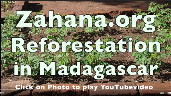 A reforestatioj video about Zahana in Madagascar