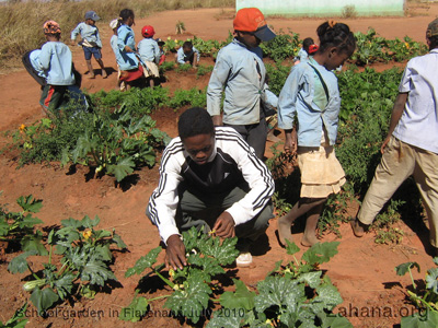 The teacher with his students in the school garden in Madagascar