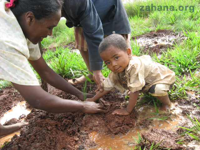Planting a new forest in Madagascar
