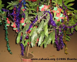 xmas tree 2006