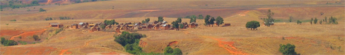 Zahana Banner