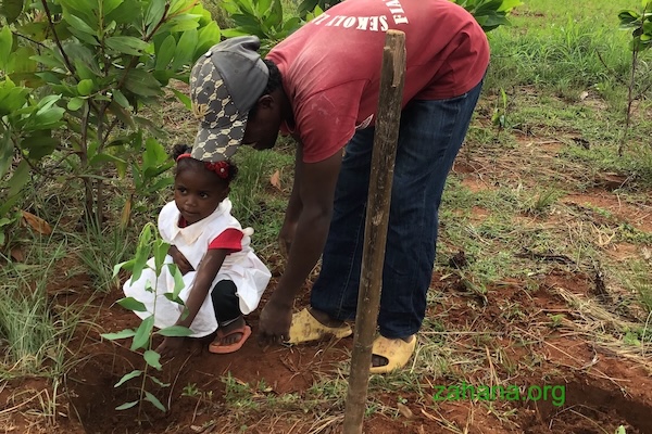Father and daughter involves in reforestation