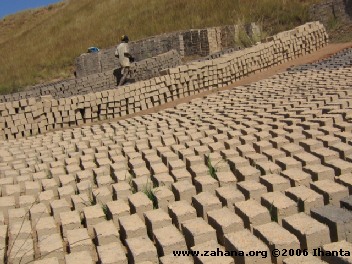 Bricks for the school