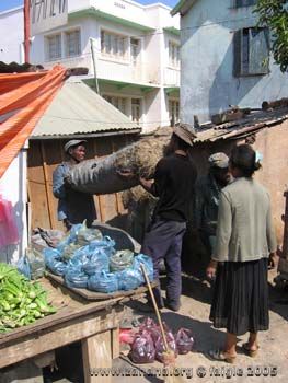 charcoal delivery