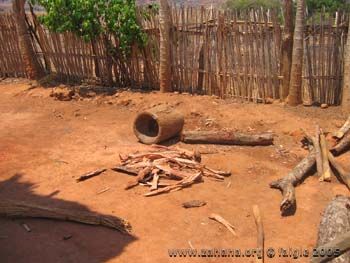 firewood stored