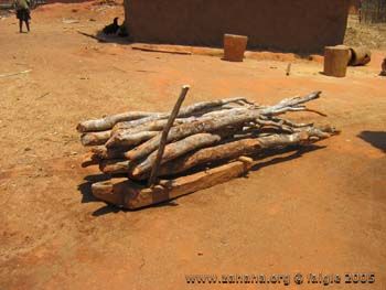 firewood stored