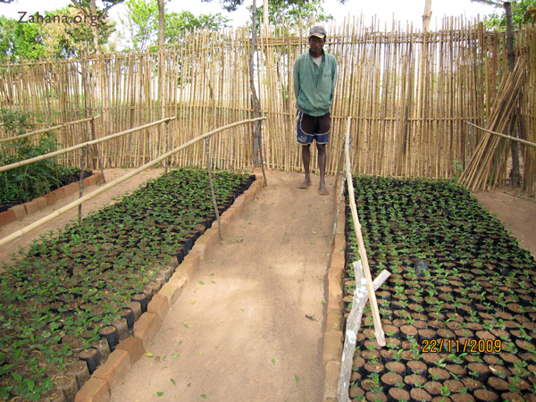 Jean - Zahana's master gardenr in Madagascar. www.zahana.org