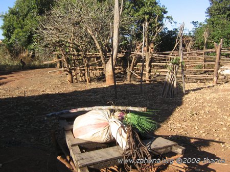 Vegetables grown in the village of Fiarenanan, Madagascar