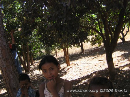 kinds in the Trees in the village of Fiarenana in Madagascar
