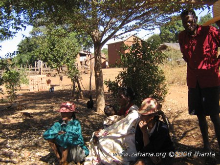 Trees in the village of Fiarenana in Madagascar
