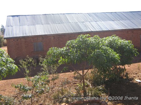 fiarenana trees and houses