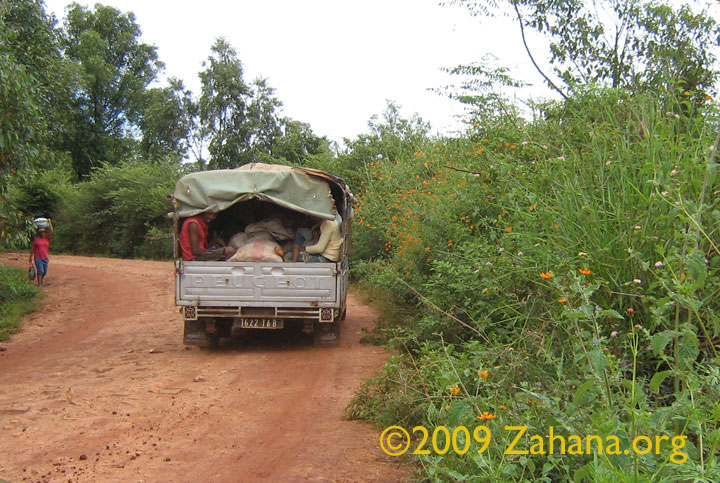 Trucks looking for rice to buy in the Madagascar countryside