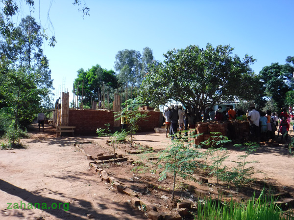 Moringa trees in a Madagascar schoolyard