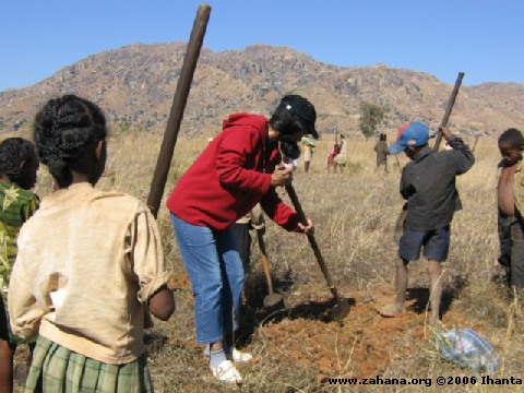 Digging the ground for the tree seedlings 4