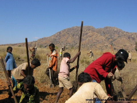 Kids digging a garden