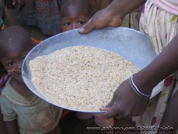 Sifting rice in a village in madagascar