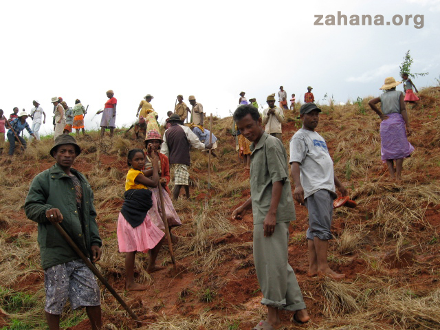 The entire community comes together to plant their new forest in Madagascar Zahana.org 