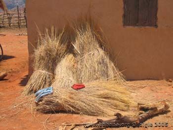 roofing material (grass)