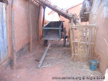 Ox cart in Fiadanana