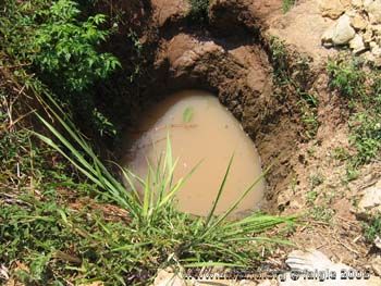 Alter wasserstelle mit Frau mit Eimer in Madagaskar