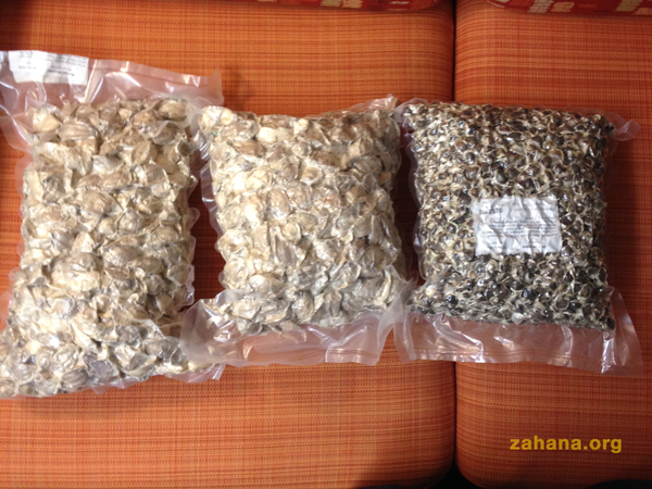 Moringa seedfs for the villages in Madagascar - zahana