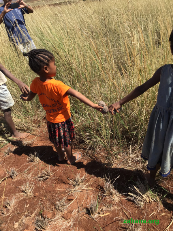 Seedballs in a village in Madagascar