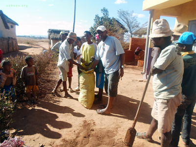 Potatoes planted by zahana in rural madagascar