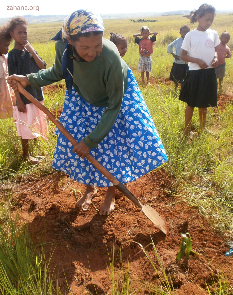 woman planting a seedling in Madagascar in 2013