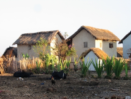 village with hedge